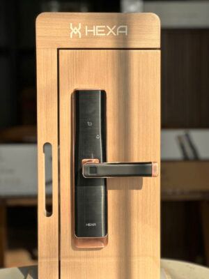 Khóa cửa điện tử nào tốt 31