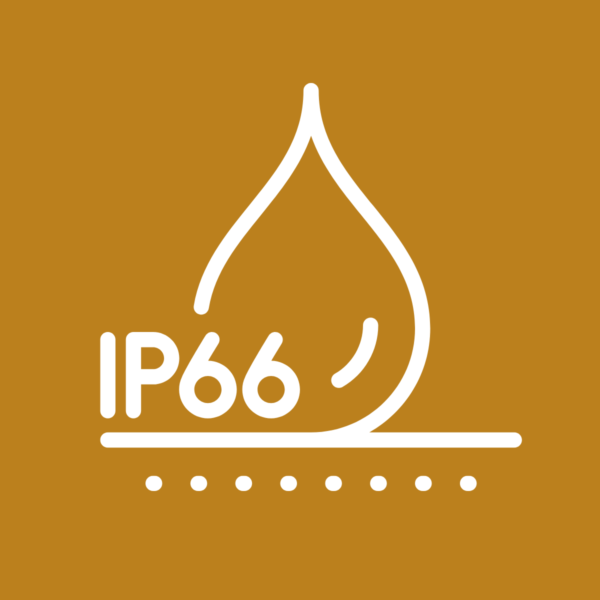 IP 66